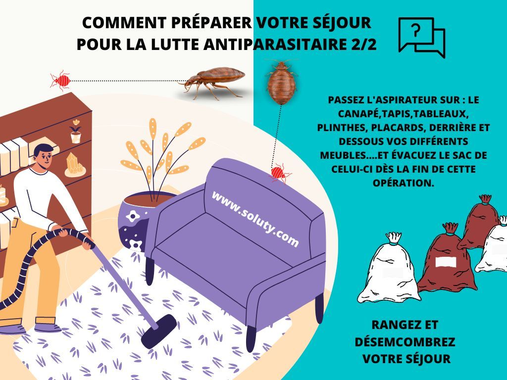 comment préparer son appartement pour une lutte antiparasitaire contre les punaises de lit ? 2/2