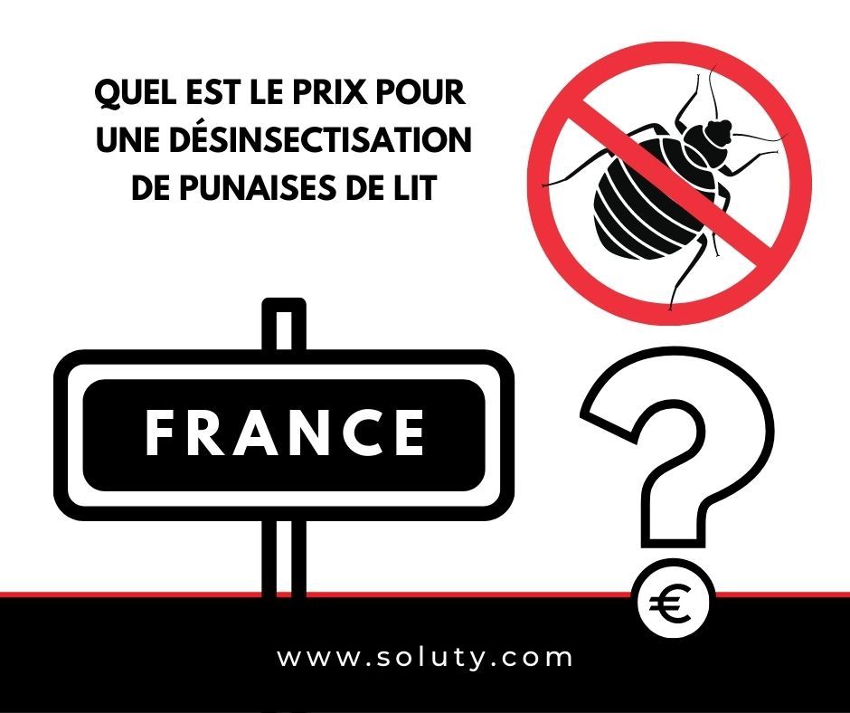 Quel est le coût d'une désinsectisation pour se débarrasser des punaises de lit ?