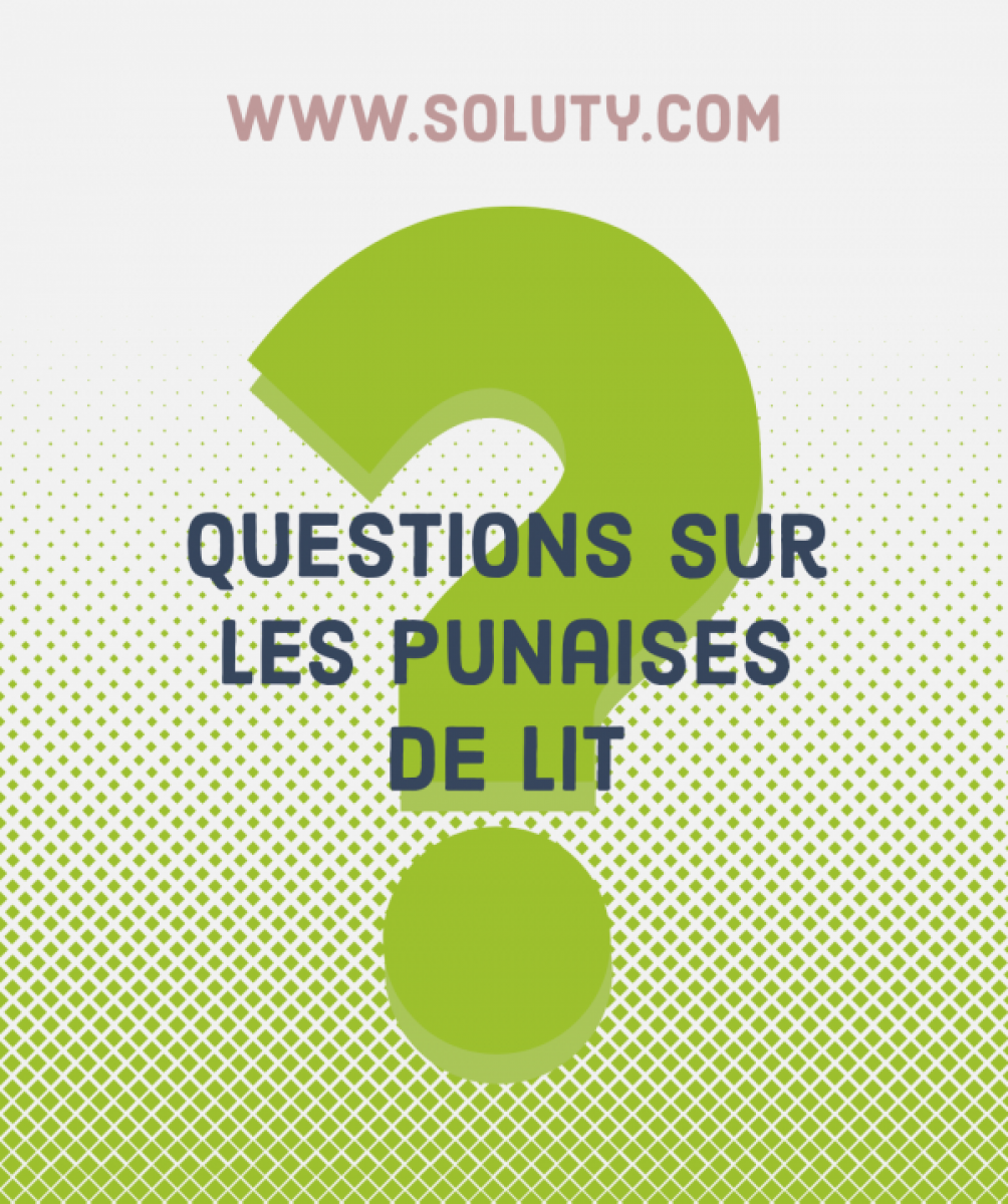 questions sur les punaises de lit