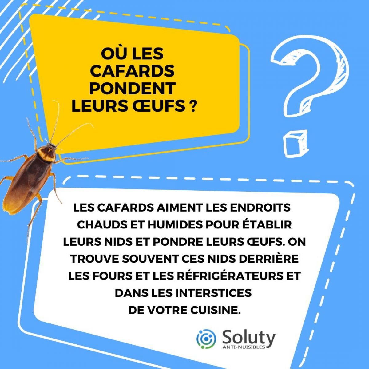 Signes d