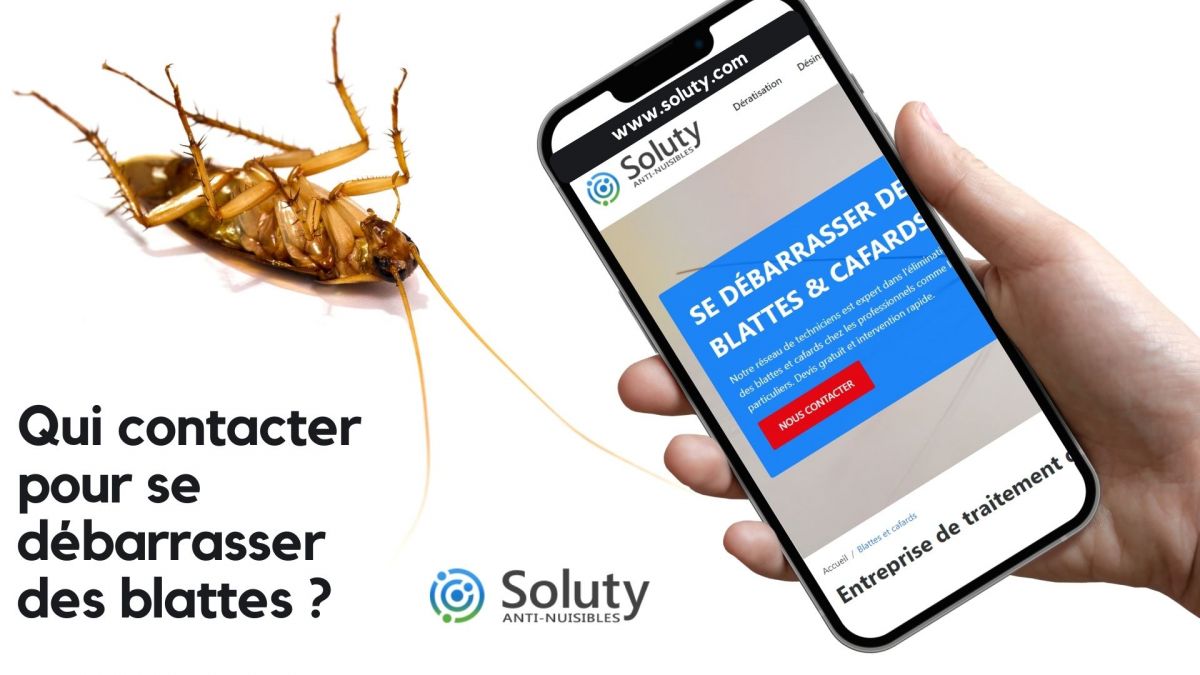 Qui appeler pour éliminer rapidement des blattes ? 