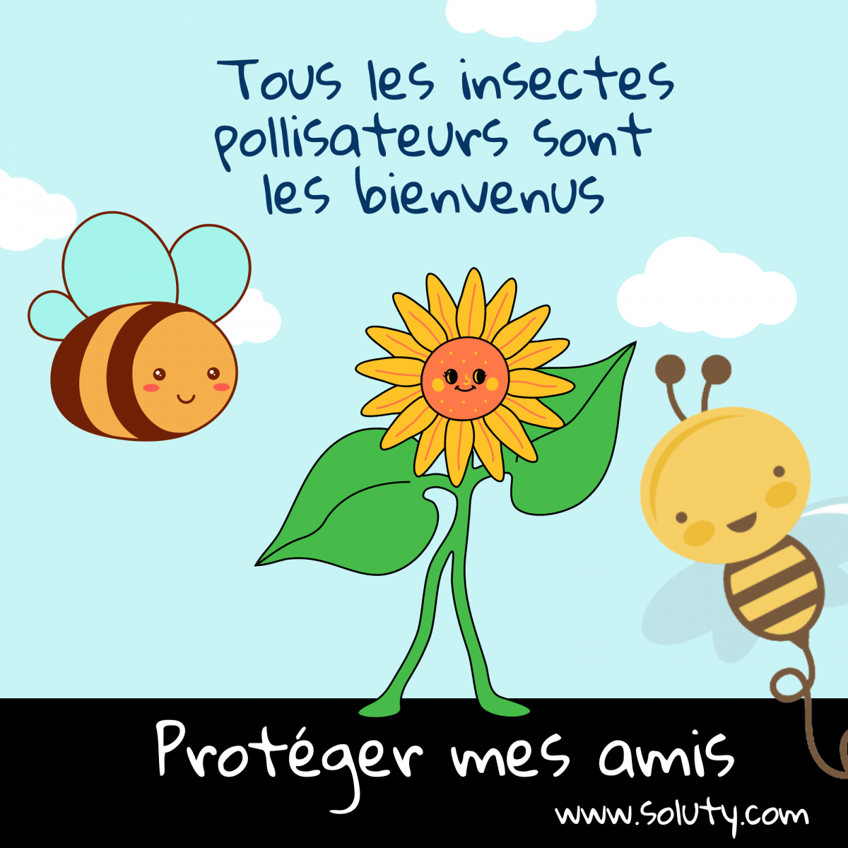 protégeons les insectes pollinisateurs