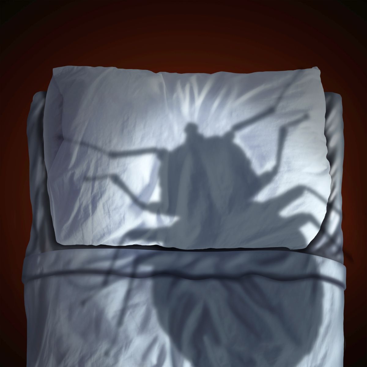 les punaises de lit : un cauchemar