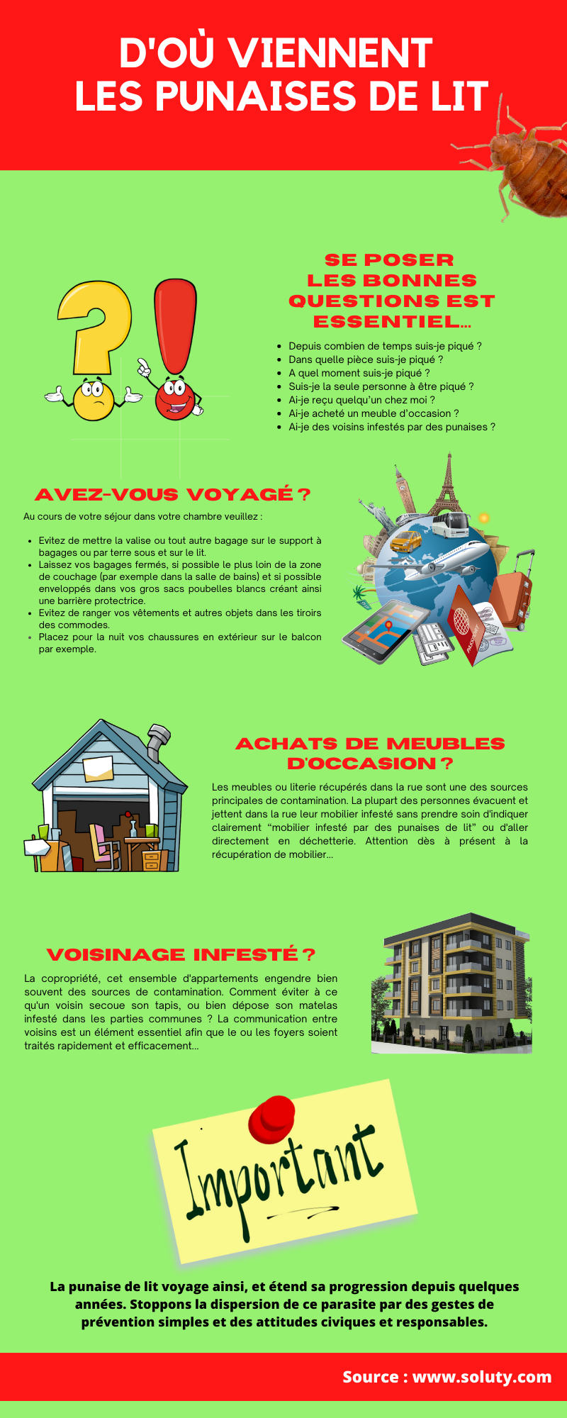 informations sur d'où viennent les punaises de lit 