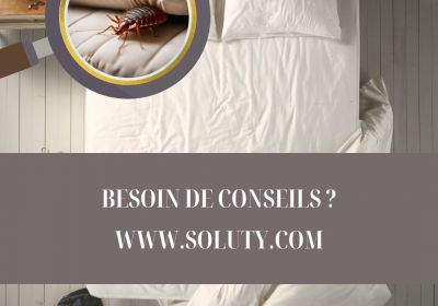 Recherche punaise de lit dans un lit