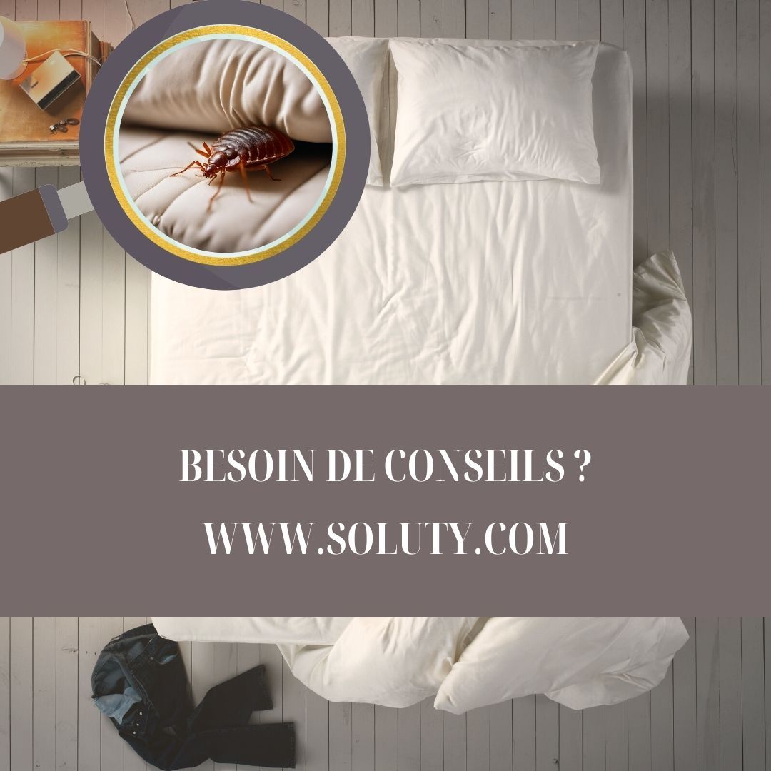 besoin de conseils : pour savoir comment on peut attraper des punaises de lit