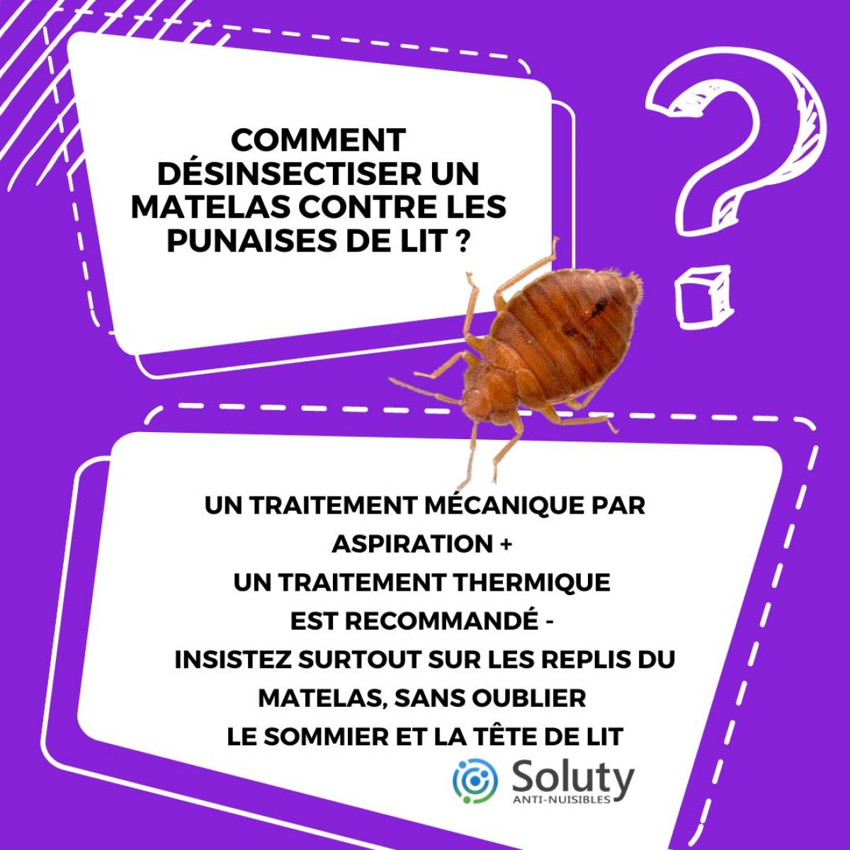 Comment éliminer les punaises de lit sur le matelas ? - SOLUTY