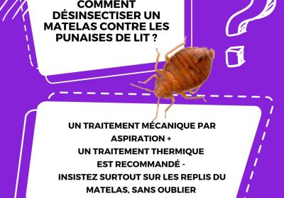 Comment desinsectiser un matelas contre les punaises de lit 1