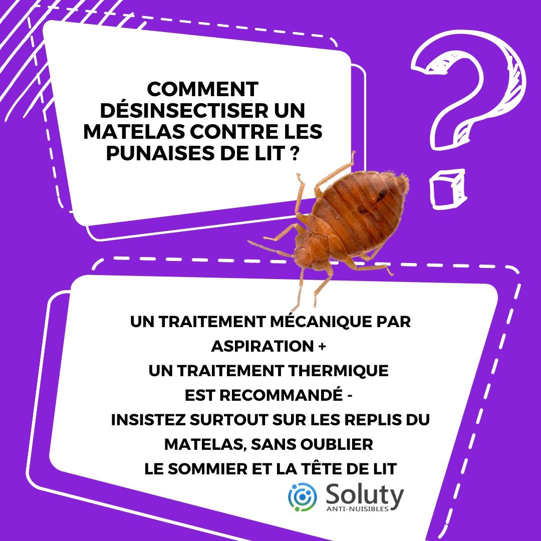 Traitement insecticide anti Punaises de lit - Tout Pour Les Nuisibles