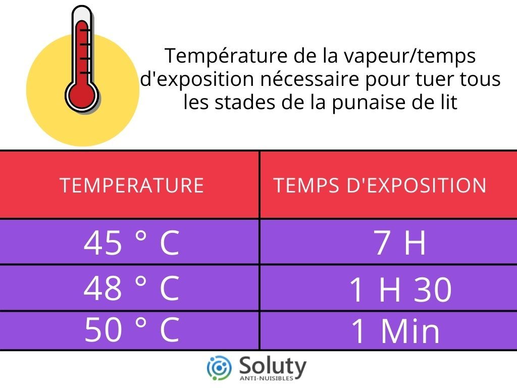 infographie sur les températures létales contre les punaises de lit 