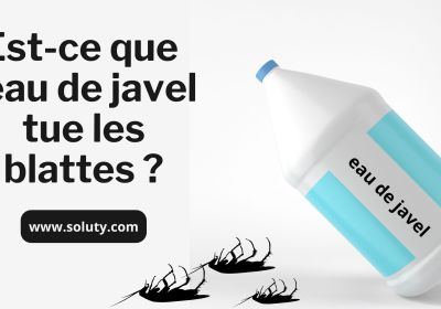 Est ce que leau de javel tue les blattes