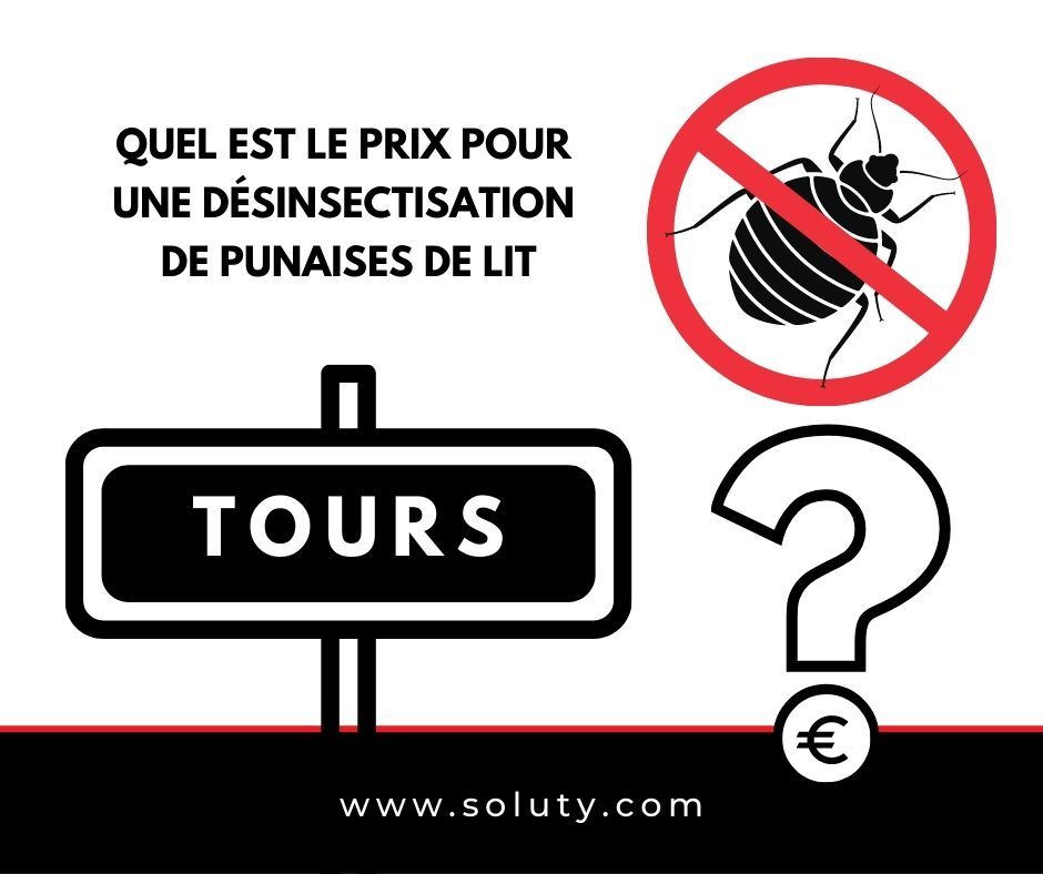 TOURS quel est le prix pour la désinsectisation de punaises de lit ?