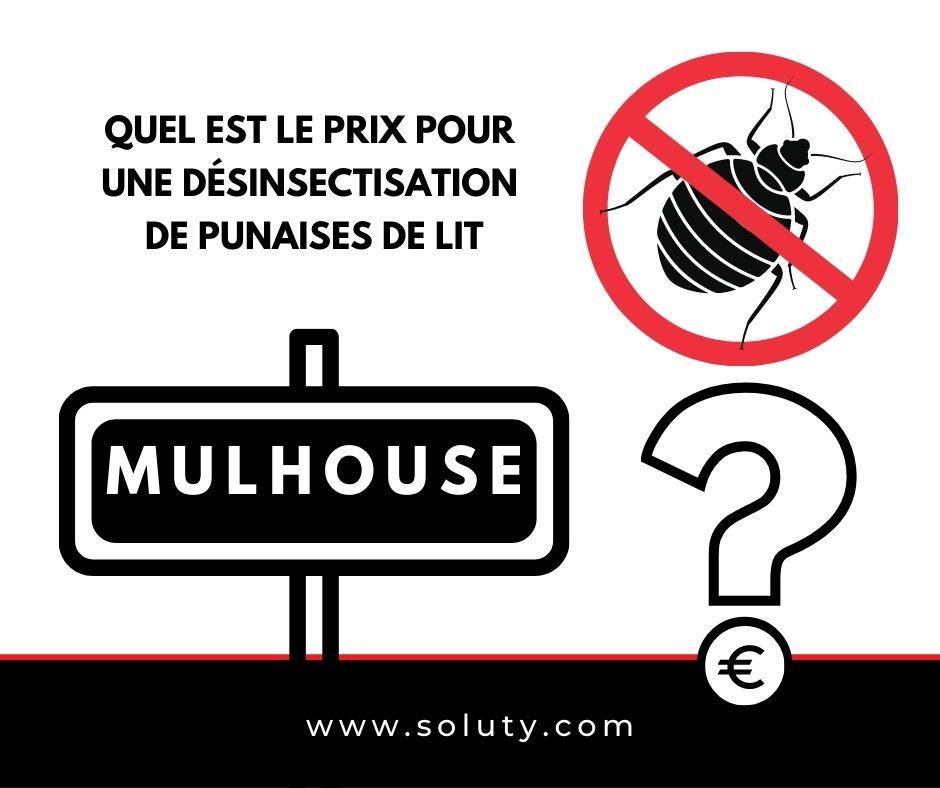 MULHOUSE quel est le prix pour la désinsectisation de punaises de lit ?