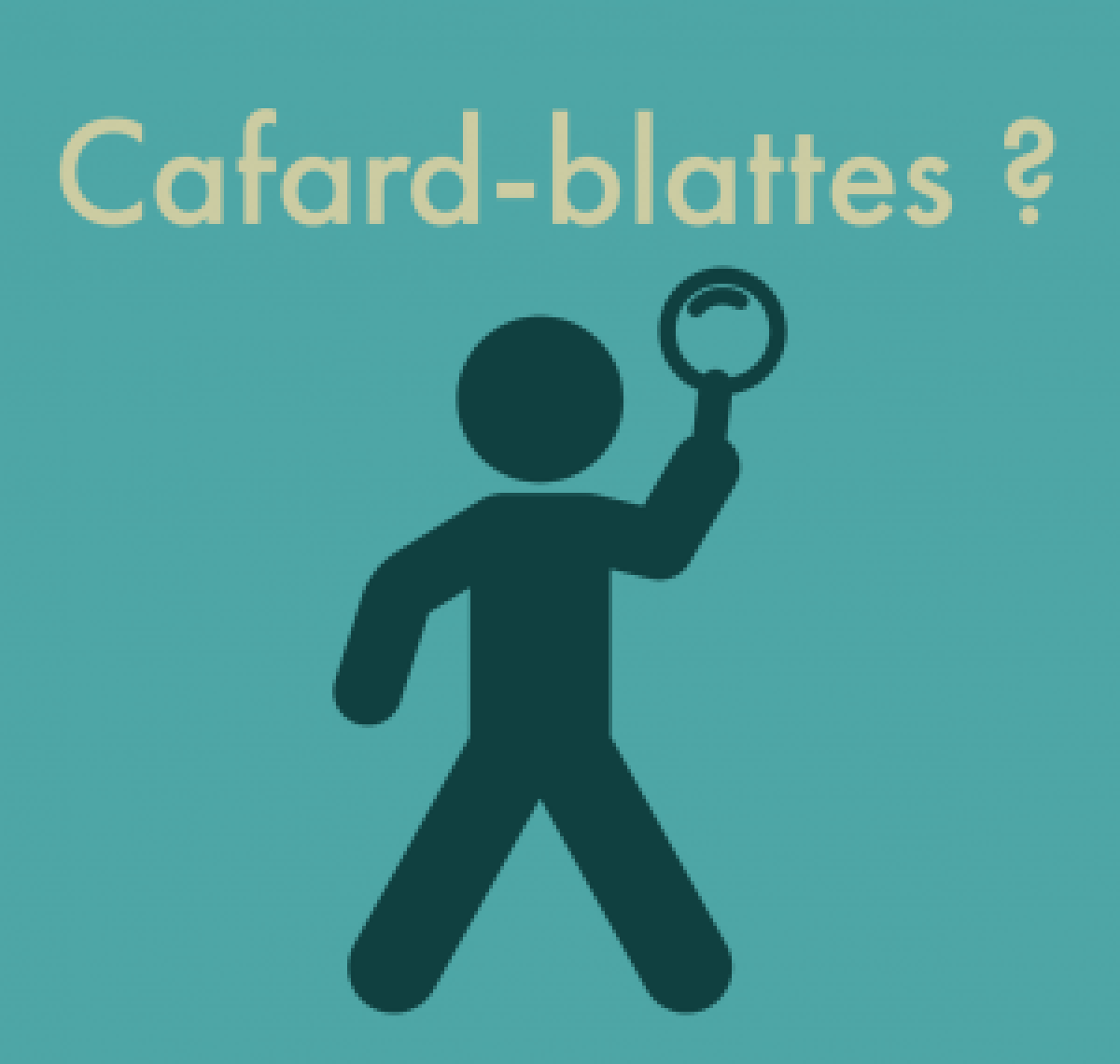 blattes ou cafards ?