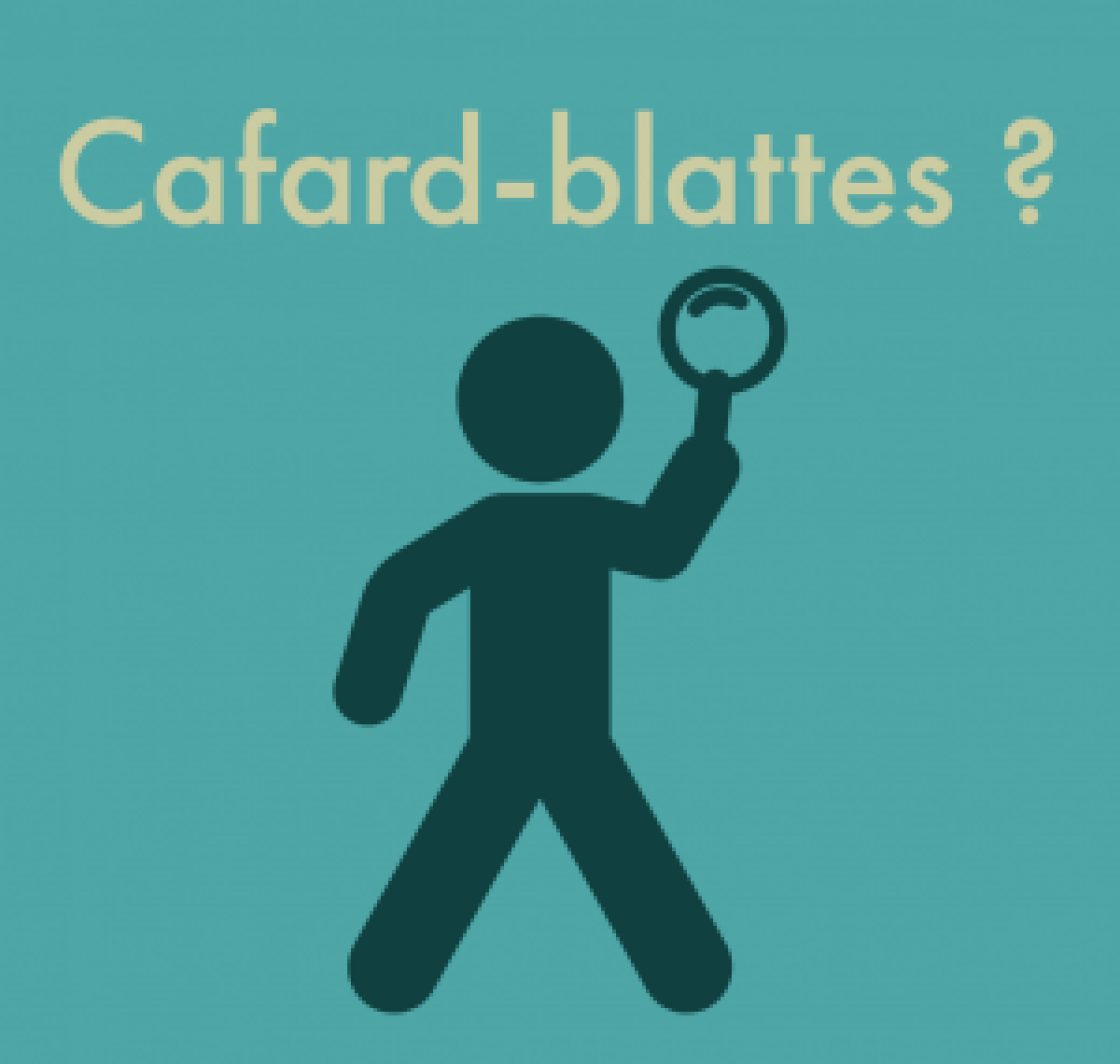 blattes ou cafards ? 