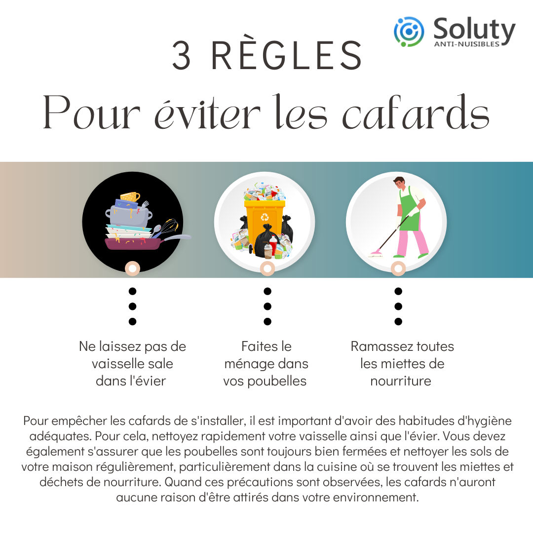 astuces pour éviter les cafards 