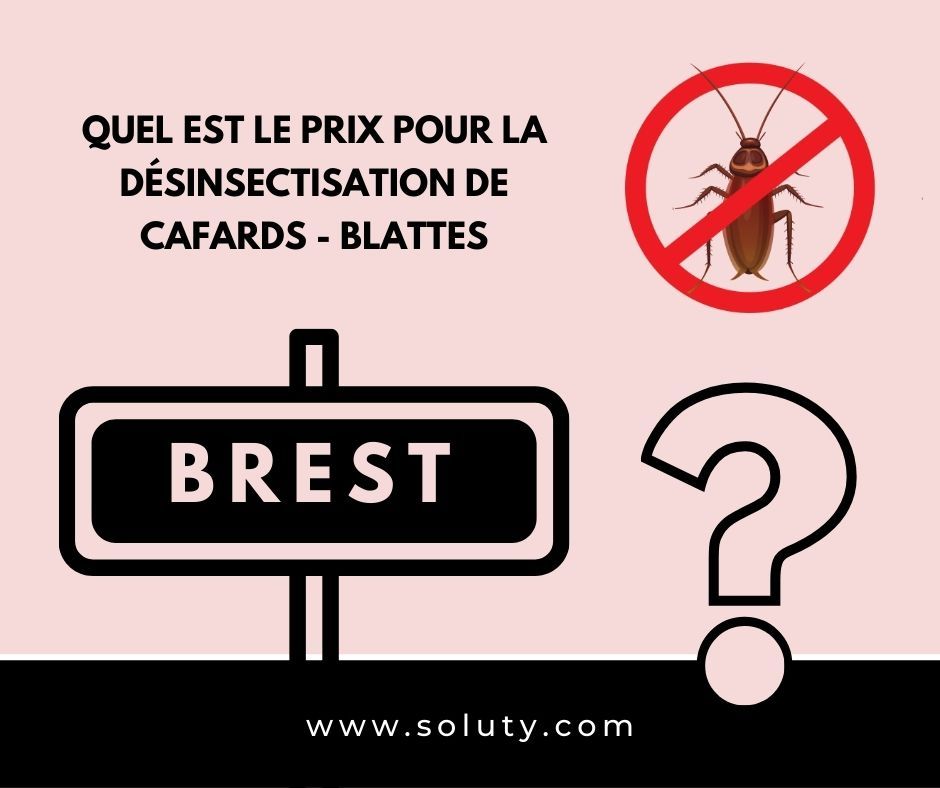 TARIFS : BREST quel est le prix pour la destruction de cafards blattes ?