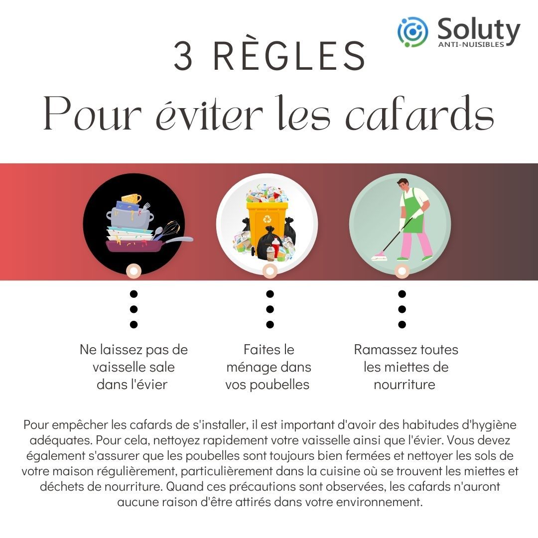 astuces pour éviter les cafards 