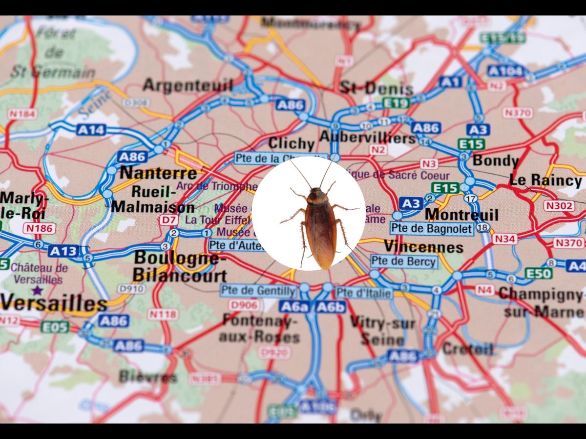 carte de Boulogne-Billancourt avec une blatte