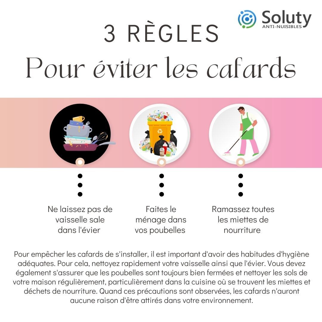 astuces pour éviter les cafards 