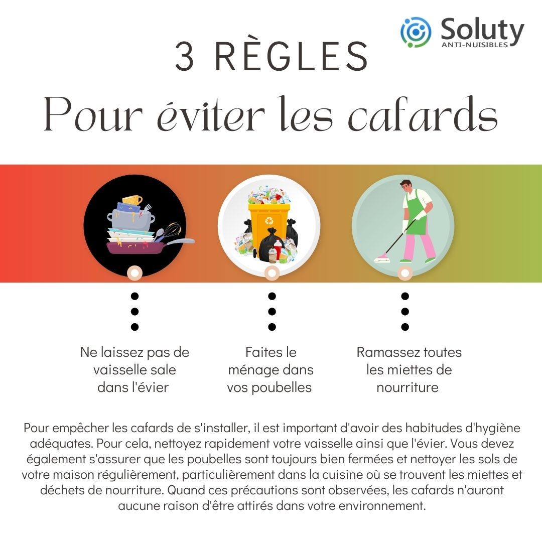 astuces pour éviter les cafards 