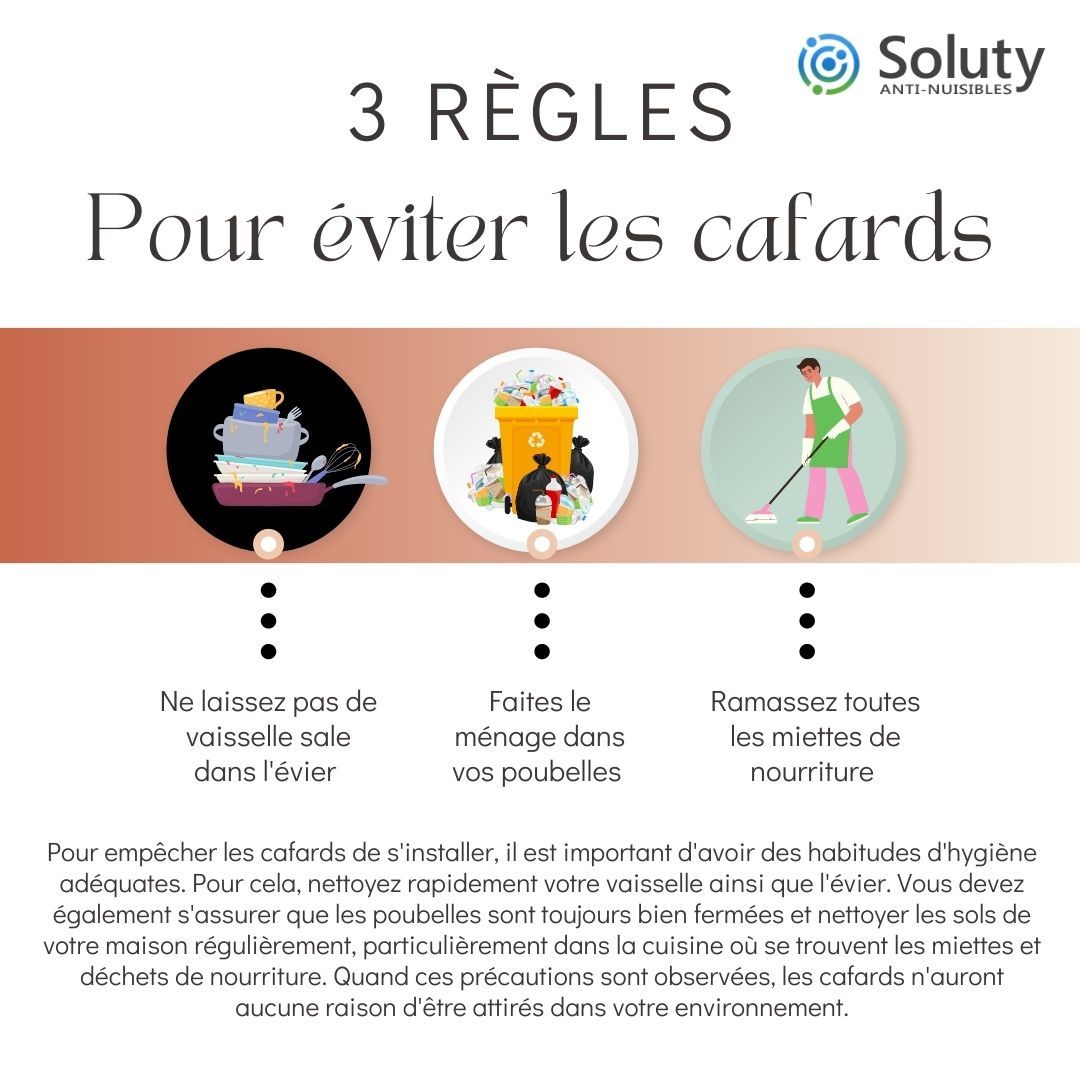 astuces pour éviter les cafards 