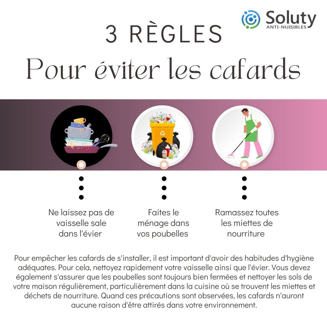 astuces pour éviter les cafards 