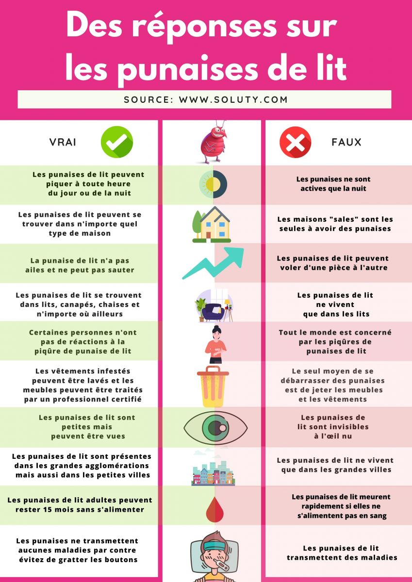 on vous réponds à vos différentes questions sur la punaise de lit