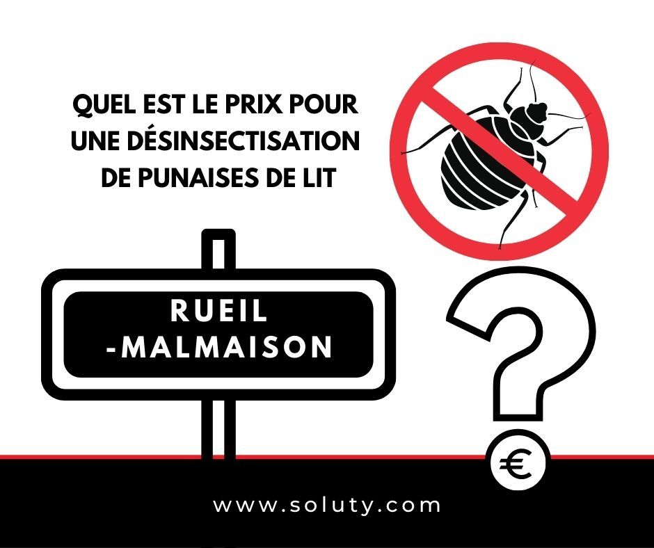 Rueil-Malmaison : quel est le prix pour la désinsectisation de punaises de lit