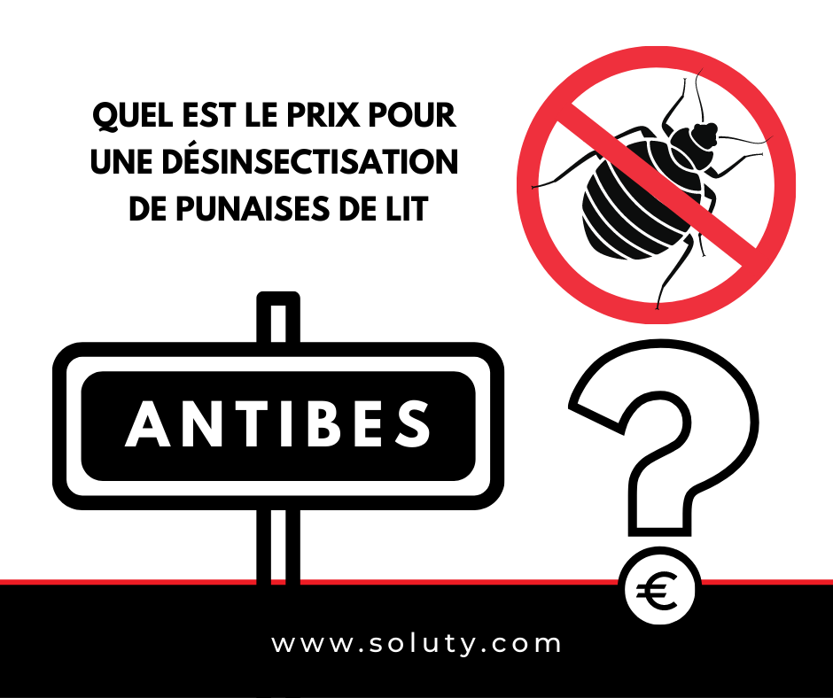 ANTIBES quel est le prix pour la désinsectisation de punaises de lit ?