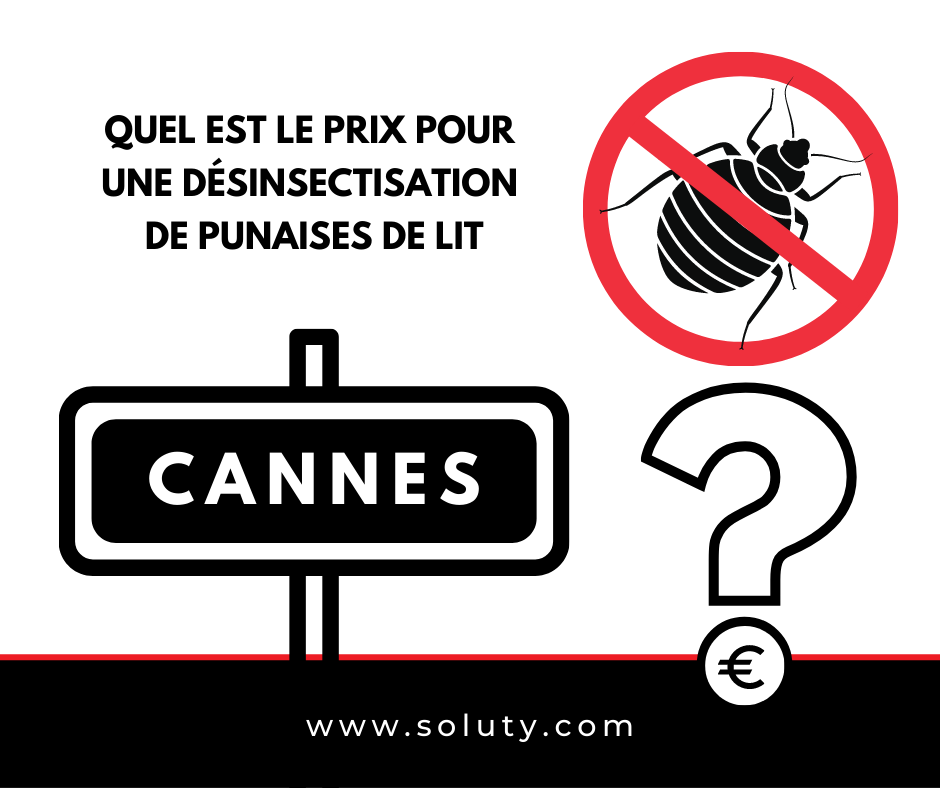 CANNES quel est le prix pour la désinsectisation de punaises de lit ?