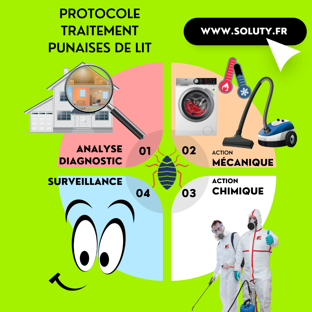 Comment lutter contre l’infestation de ces nuisibles ?