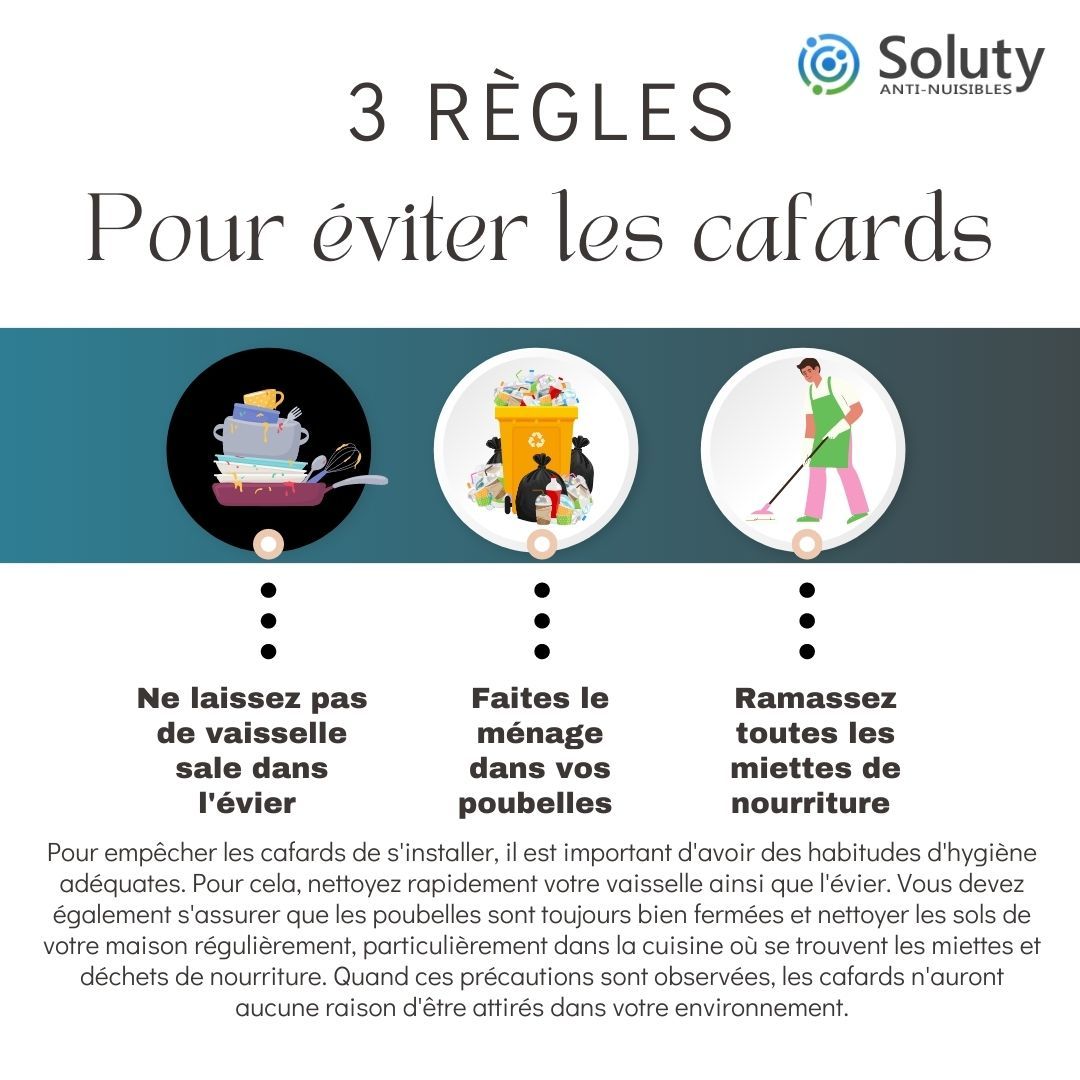 astuces pour éviter les cafards