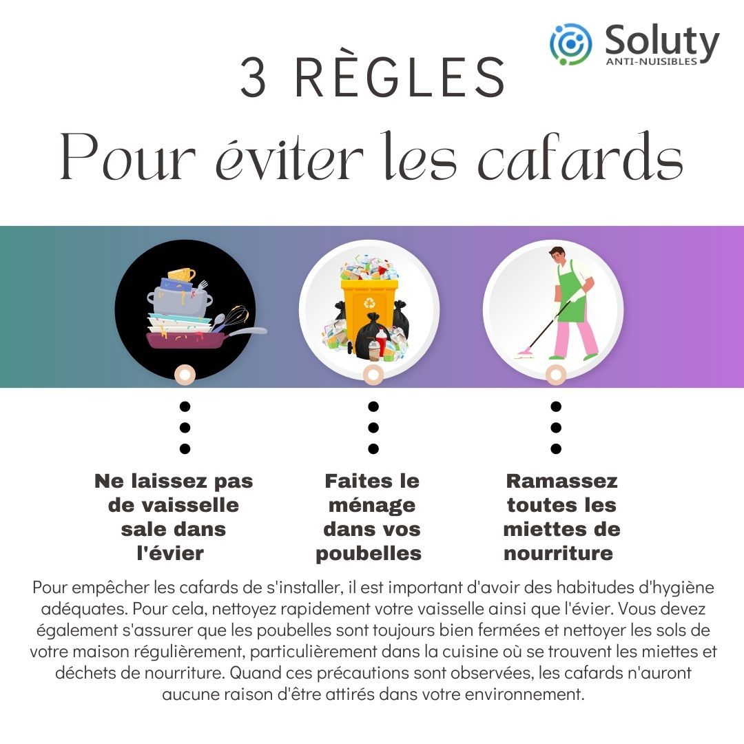 astuces pour éviter les cafards 