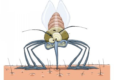 Le moustique et ses aptitudes 1200x