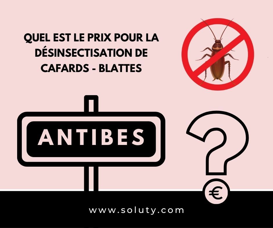 TARIFS : Antibes quel est le prix pour la destruction de cafards blattes ?