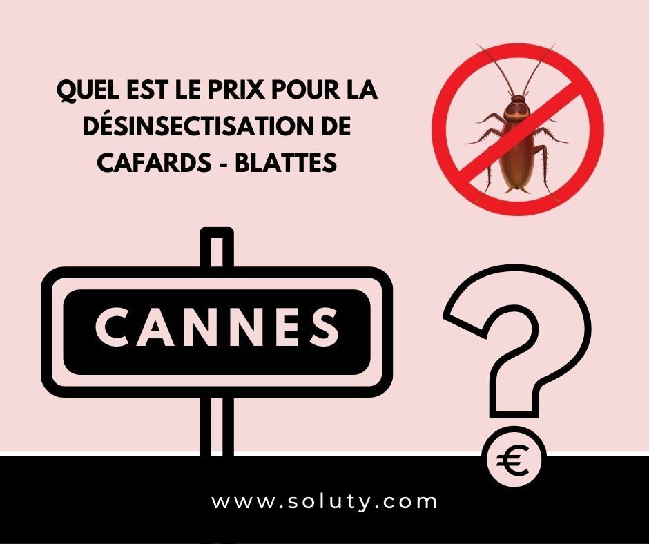 TARIFS : CANNES quel est le prix pour la destruction de cafards blattes ?