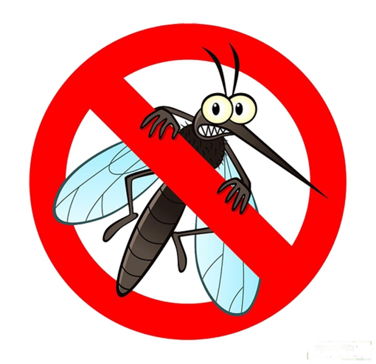 moustique dans sens interdit