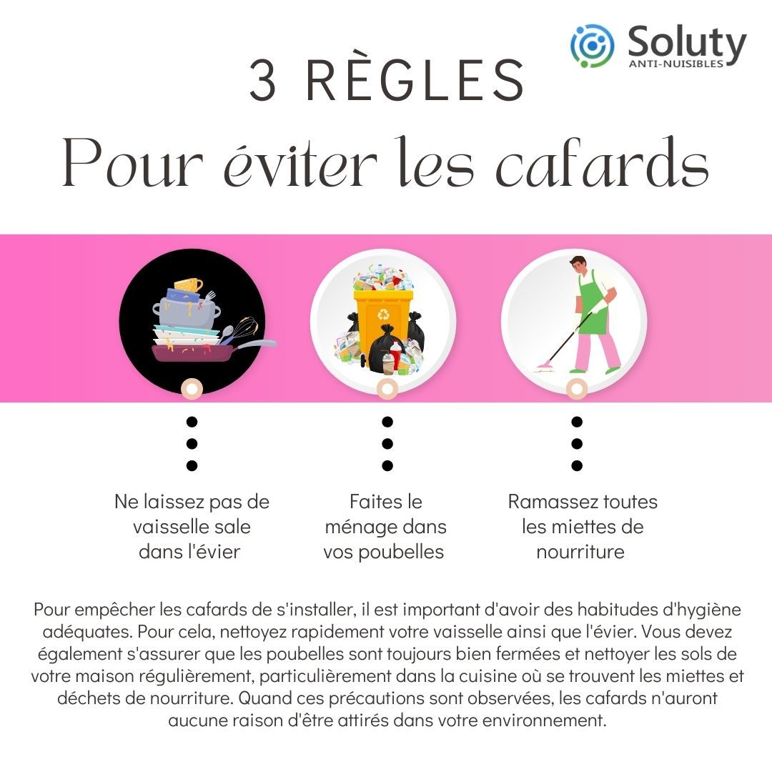 astuces pour éviter les cafards 