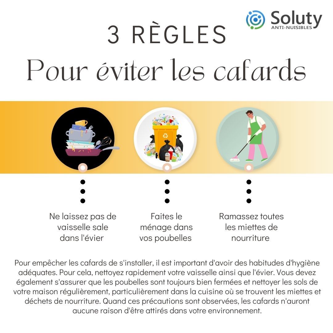 astuces pour éviter les cafards 