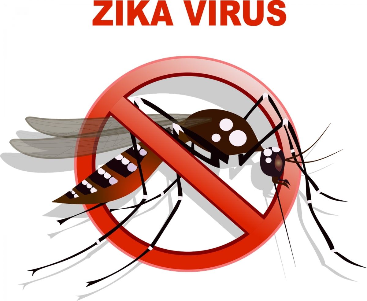 moustque tigre avec sens interdit et maladie zika
