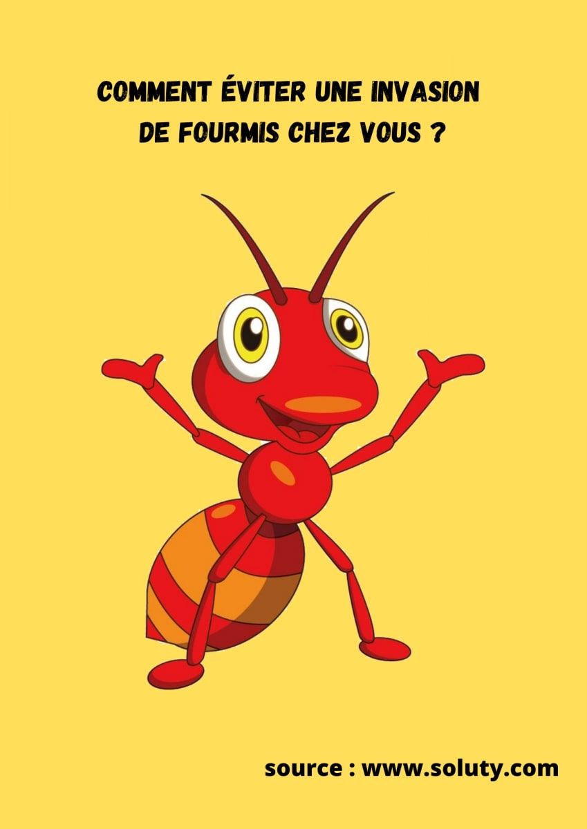 infographie sur une fourmis et la question Comment éviter une invasion de fourmis chez vous ?