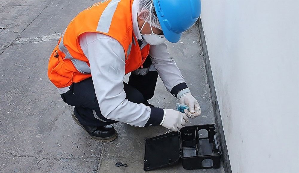 technicien dératiseur en train de changer les rodonticides dans un poste sécurisé contre les rongeurs