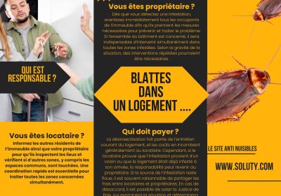 Qui est responsable des blattes dans un logement