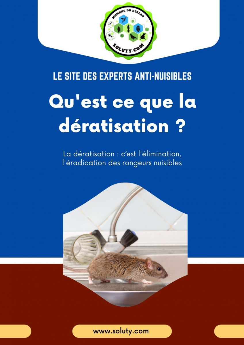 Qu'est ce que la dératisation ?