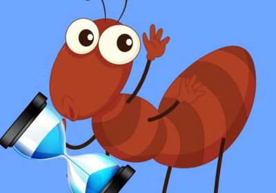 Combien de temps vit une fourmi source solutycom 22 1200x