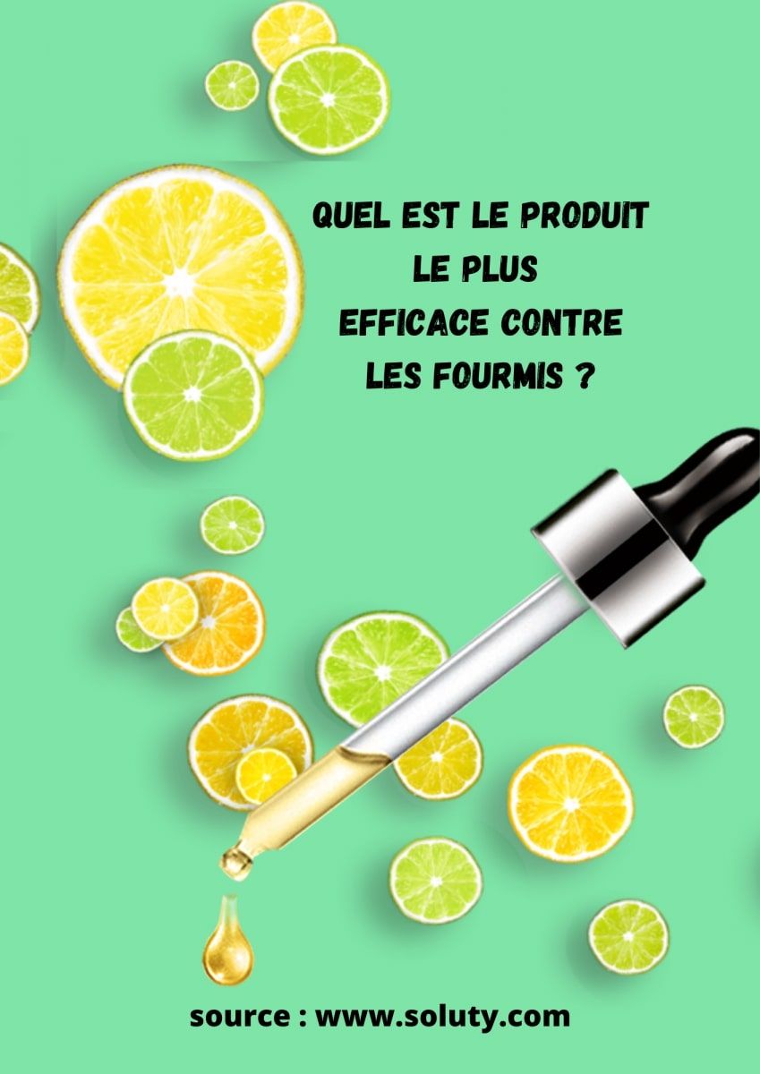 dessin avec citron et question Quel est le produit le plus efficace contre les fourmis ?