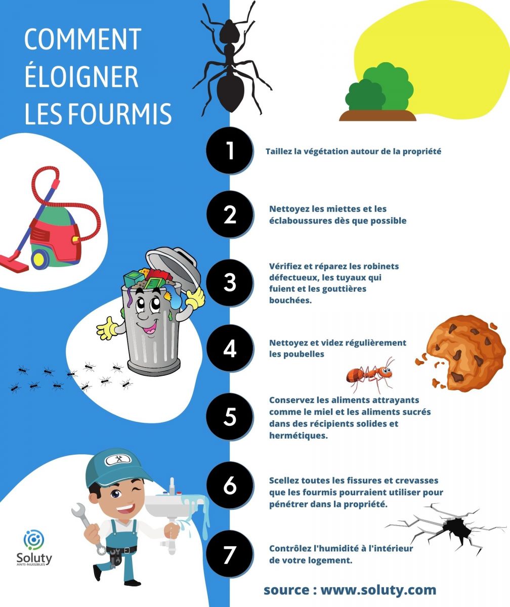 infographie Solutions pour éviter la prolifération ou la présence de fourmis dans votre environnement