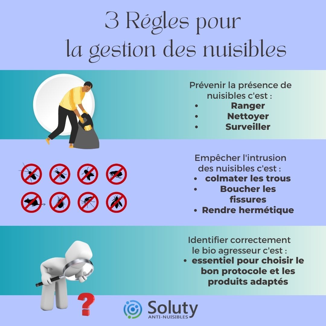 Comment éviter les nuisibles ?