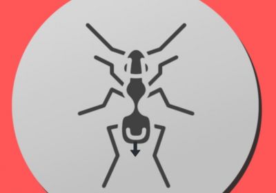 Comment reconnaitre une piqure de fourmi source solutycom 30 1200x